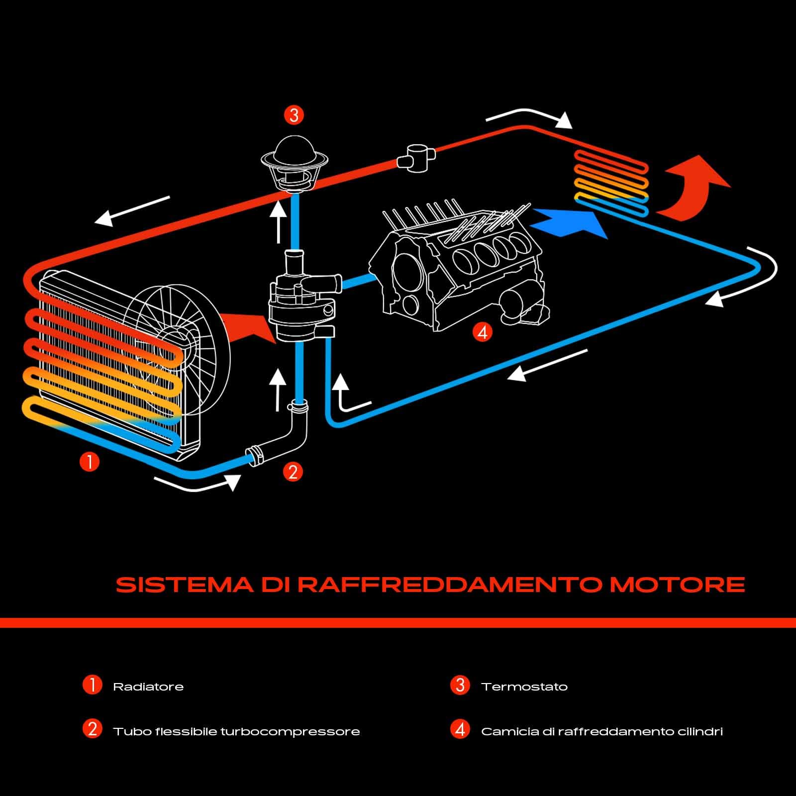 Frankberg Tubo flessibile dell'aria di sovralimentazione Compatibile con A4 Avant 8ED 2.0 TDI A4 Avant 8ED 1.9 TDI A4 Cabriolet 8HE 2.0 TDI A4 8EC 2.0 TDI A4 Avant 8ED 2.0 TDI q.u.a.t.t.r.o 03G103493T