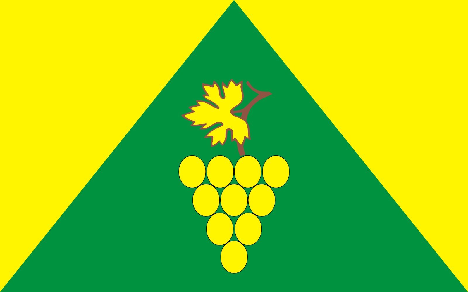 Drapeau Zielona Góra grand tissu anti-déchirure et anti-UV