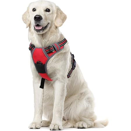 Amazon Homein 犬 ハーネス 中型犬 8 2kg 犬用胴輪 犬への負担が少ない 引っ張り防止 サイズ調整可能 脱着簡単 夜間反射 安心散歩 通気性 抜けない 柴犬 秋田犬 M レッド Homein ハーネス 通販