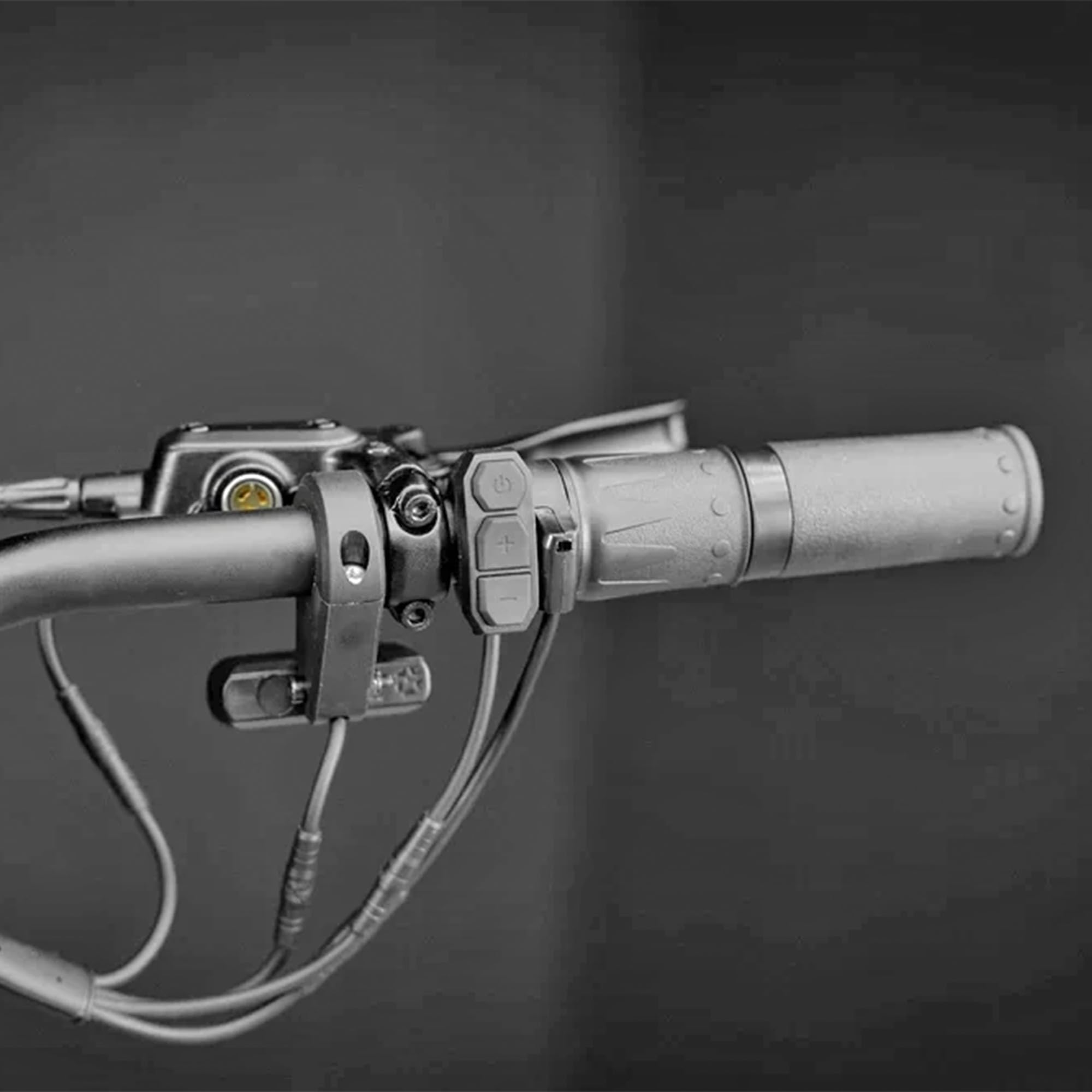 Trottinette électrique Inmotion RS Casper, Double Moteur 2000W, autonomie 120 kilomètres, Vitesse de 25km/h, Version spéciale limitée Exclusive