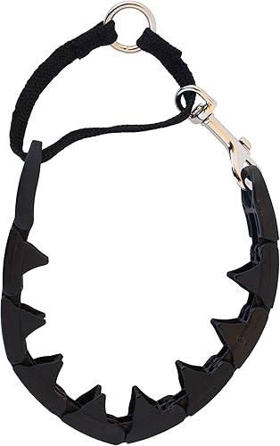 Starmark Collar de perro profesional