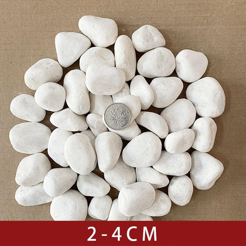 White Polished Pebbles for Plants, 4.4 LB Decorative River Rocks for Succulents and Cactus, Natural Gravel Stones for Flower Pots, Vases, Aquarium, Terrarium and Outdoor Garden Decor