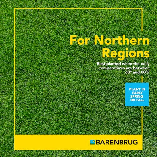 Pasture Seed, 25 lb 23094