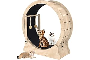 Cat Wheel with Teaser: The Purrfect Fitness Companion