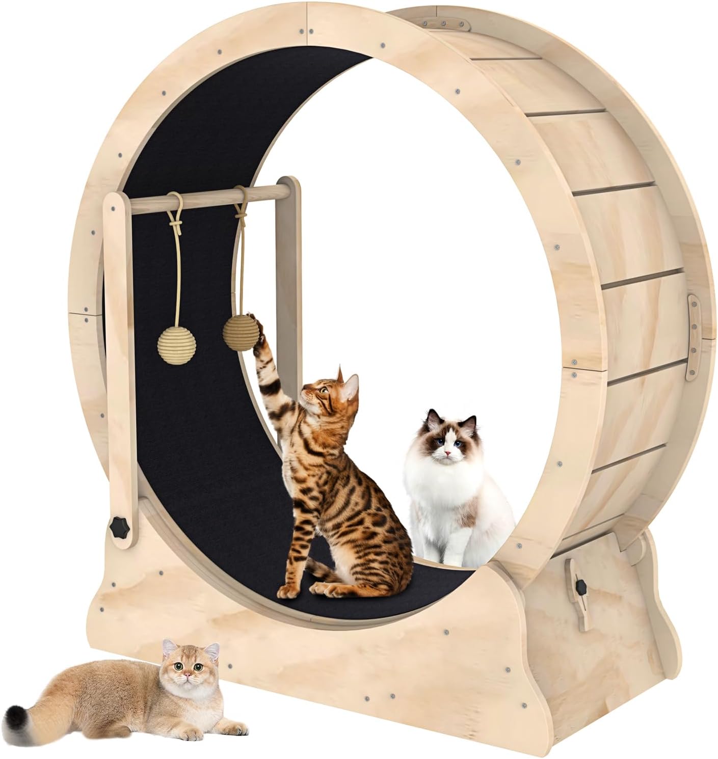 Cat Wheel, Cat Exercise Wheel with Cat Teaser, Cat Running