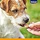 Vitakraft Noshies, Hundeleckerli, Hundesnack weich, mit Truthahnfleisch, Hunde Trainingsleckerli, ohne Zusatz von Zucker (1x 90g)