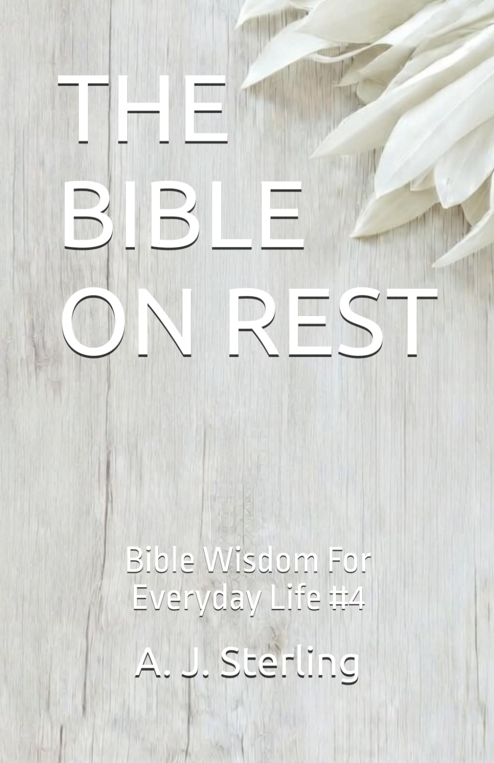 THE BIBLE ON REST: Bible Wisdom For Everyday Life #4