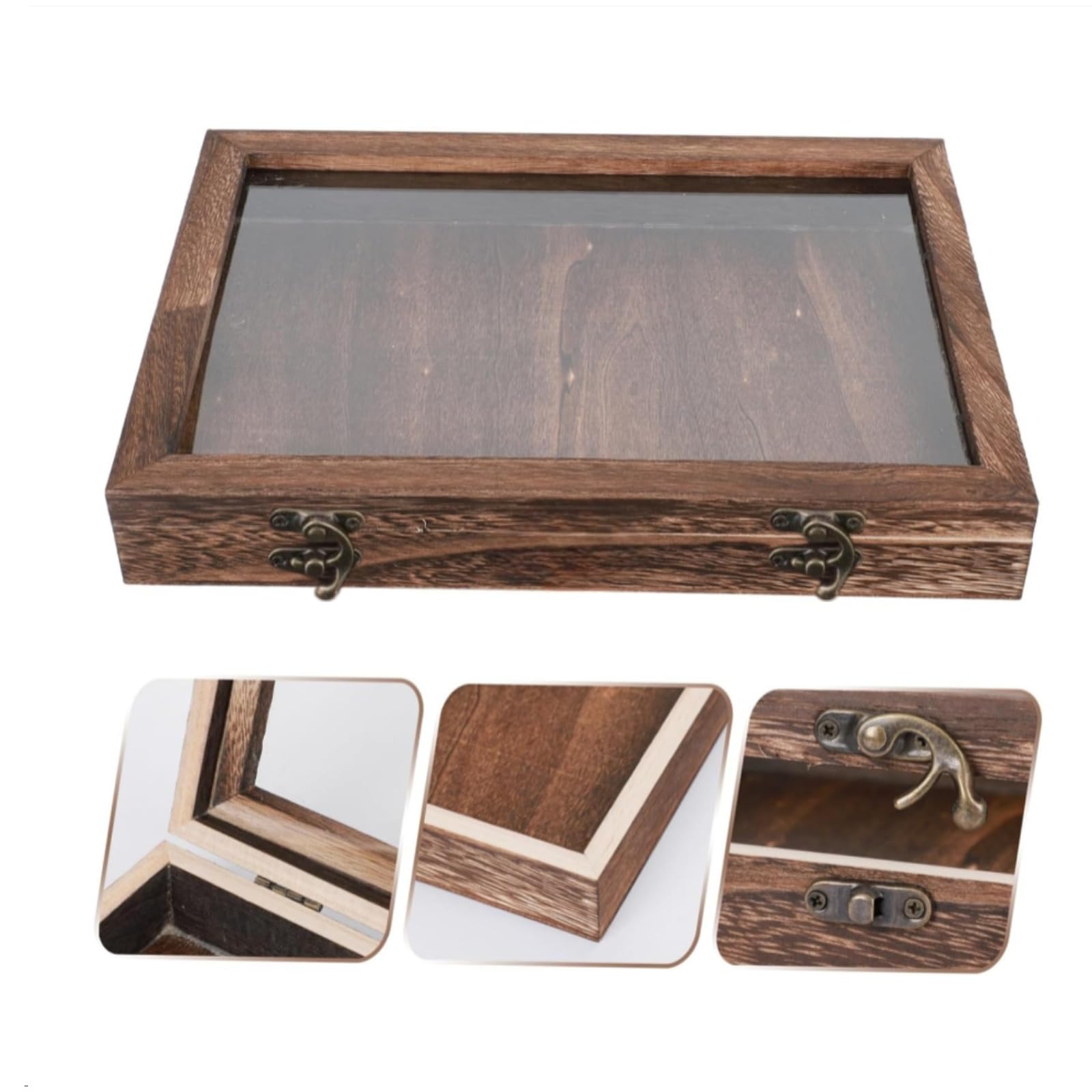 Amazon.co.jp: 昆虫 標本ケース 大型サイズ（45×32×6cm）標本