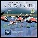 A New Earth 2016 Wall Calendar