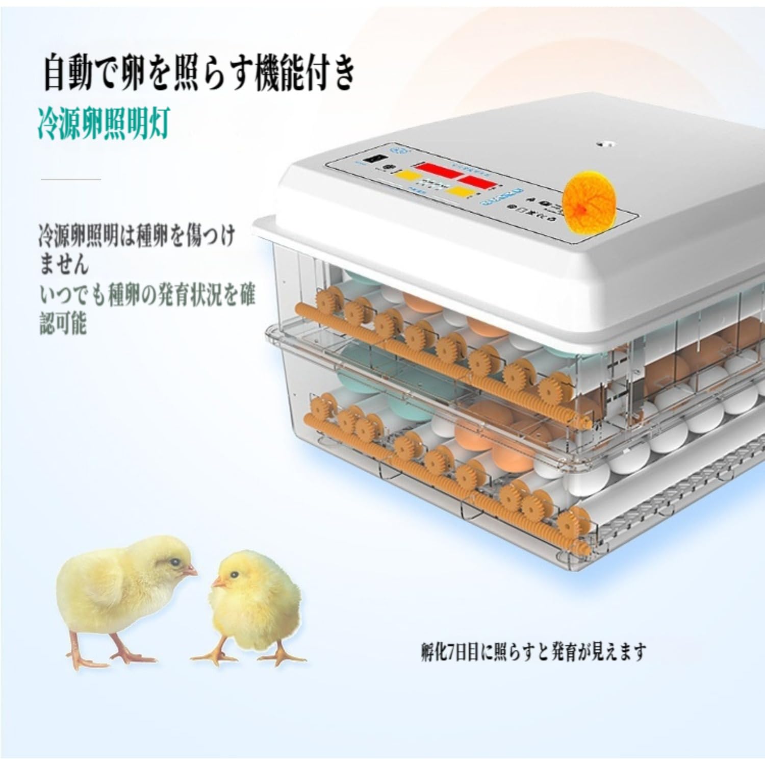 Amazon.co.jp: OXIZER 孵卵器 自動転卵 小型家庭用 インキュベーター