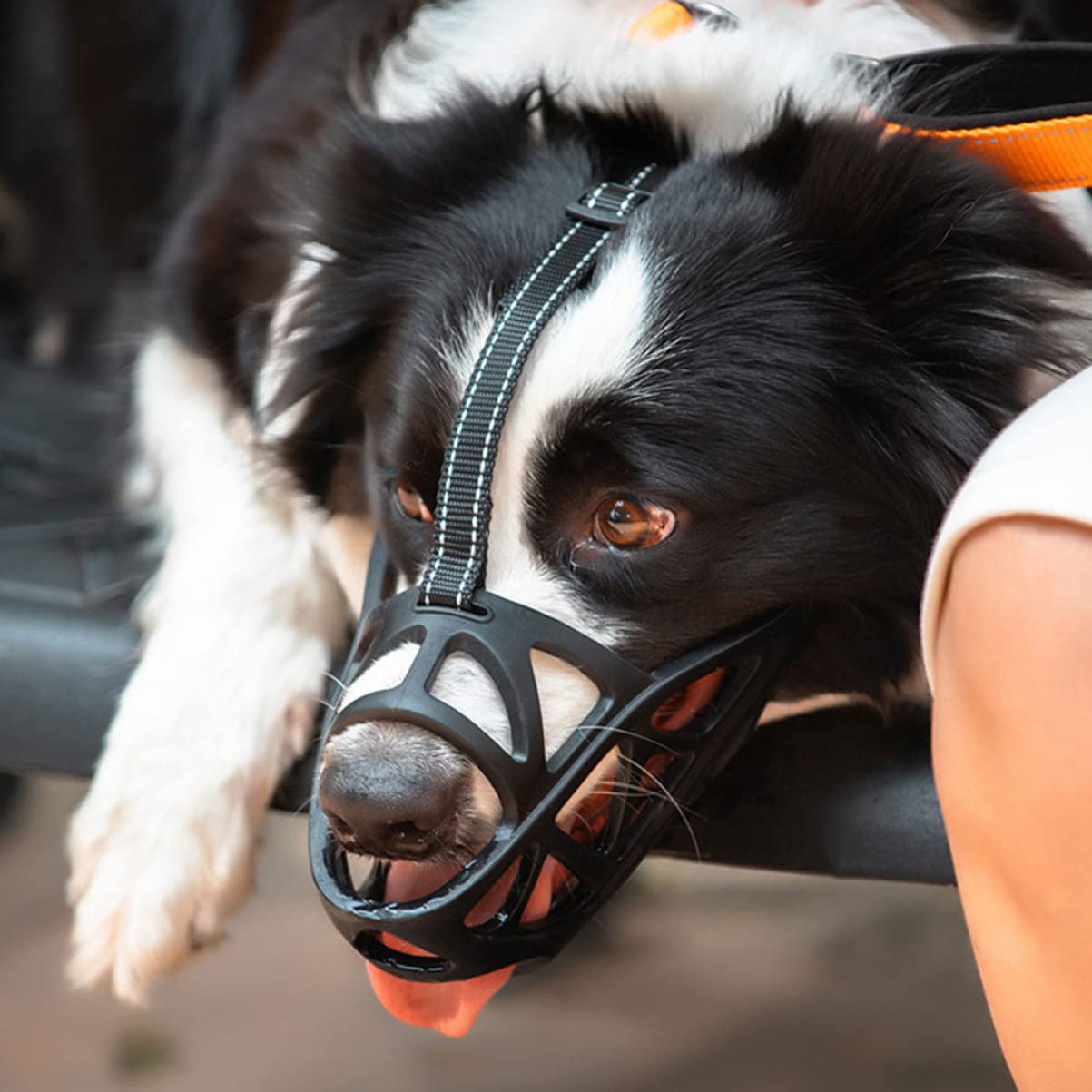 POPETPOP 3 Piezas Bozal Boca Máscara para Mascotas del Perro - Máscara De Ladrido del Perro Máscara De Perro - Máscara De Ladrido