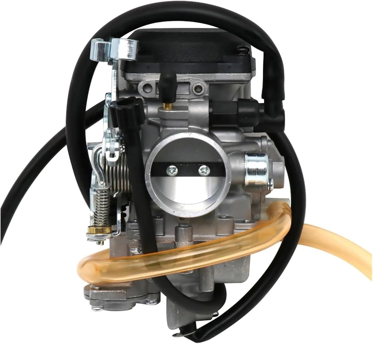 Leonor Fini、PORTRAIT、海外版超希少レゾネ、新品額付 Leonor Fini、PORTRAIT、海外版超希少レゾネ、新品額付 レオノール