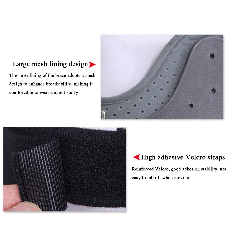 shred プロテクター 背骨 頚椎 腰椎 shred プロテクター 背骨 頚椎 腰椎 【公式通販】