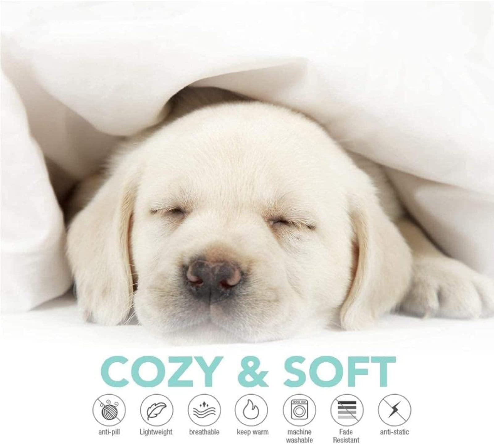 Deken Gooi voor Sofa Luipaard Print Dutten Flanellen Deken voor bed Herfst En Winter Super Soft Cover Deken Omkeerbaar Pluche Fleece Dekens (Color : B, Size : 160x200cm/63x79in Deken Gooi voor Sofa Luipaard Print Dutten Flanellen Deken voor bed Herfst En Winter Super Soft Cover Deken Omkeerbaar Pluche Fleece Dekens (Color : B, Size : 160x200cm/63x79in