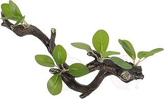 BESTOYARD Ramos De Resina Simulada Animais De Vidro Terrário Plantas Artificiais Ornamento De Planta Realista Ramo De Réptil Falso Tanque De Peixes Plantas De Plástico Decorações De