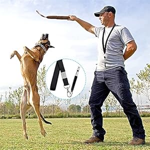 4pcs Dog Training Set Pet Training Clicker with Whistles Dog Training Whistle Ultrasonic Professional Dog Whistles with Lanyard  Barking Control Device  Adjustable Silent Dog Whistle Training Tools  Cucciolini Doodles 4pcs dog training set pet training clicker with whistles dog training whistle ultrasonic professional dog whistles with lanyard  barking control device  adjustable silent dog whistle training tools   cucciolini doodles