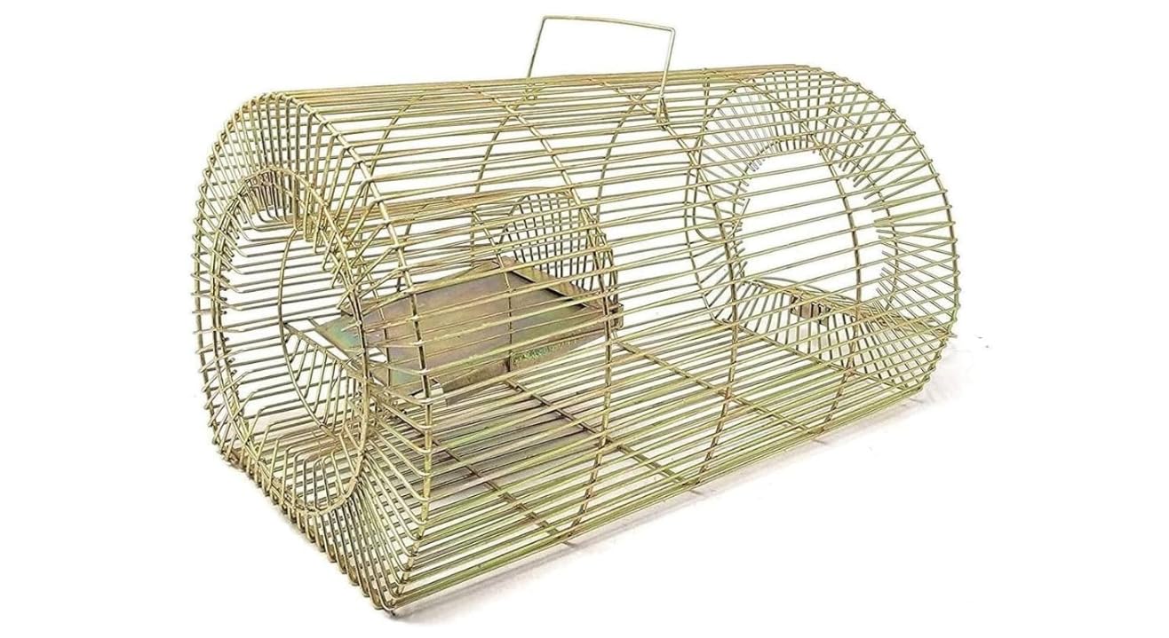 Pack of 1 Mouse/Rat Trap for catching Small & Large Size Rats, Chuha Pinjara, Iron cage, Rat cage, Rat Trap cage for use in House, Warehouses, Food Units, Hotel etc (Big Trap)-image-43