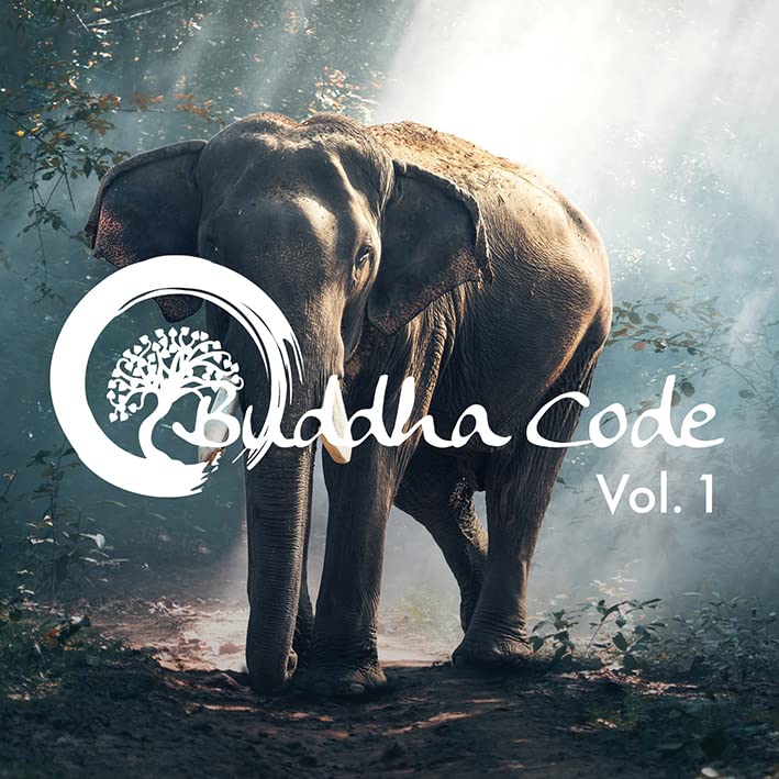 Buddha Code Vol. 1 Entspannungsmusik in 432 Hz für Meditation,...