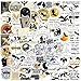 100PCS Fourth Book Wing Stickers Cartoon Aesthetic Bookish Kindle Stickers Pack Cool Dragon Rider for Teens Adults Sticker for Laptop Vinyl Waterproof Sticker Aesthetic Decals (o)