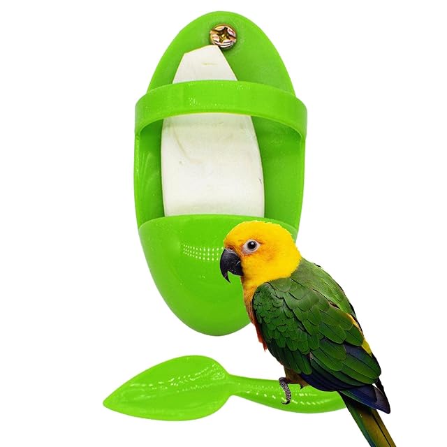 Tiandeng Hueso de sepia para pájaros, soportes para hueso de sepia vasos para jaulas para pájaros