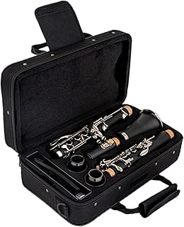 Clarinet 17 Key Falling Tune B Bakelite Pipe Body Material Clarinet Woodwind Instrument Clarinet for Beginner