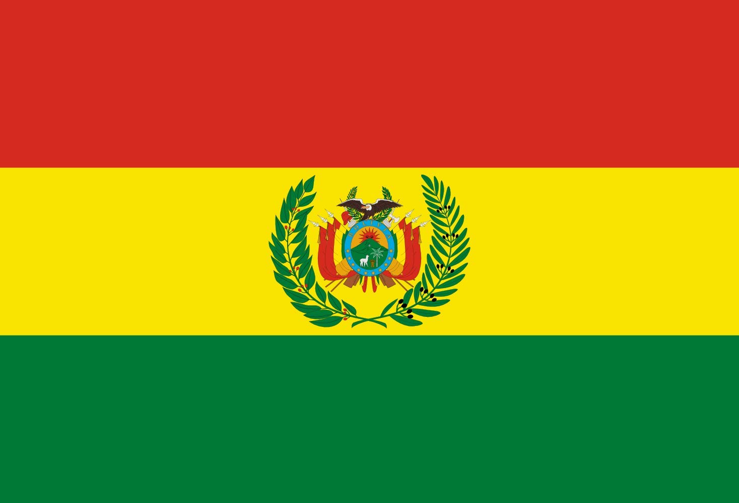 Drapeau Bolivia military 2 grand pavillon armée bolivienne extérieur