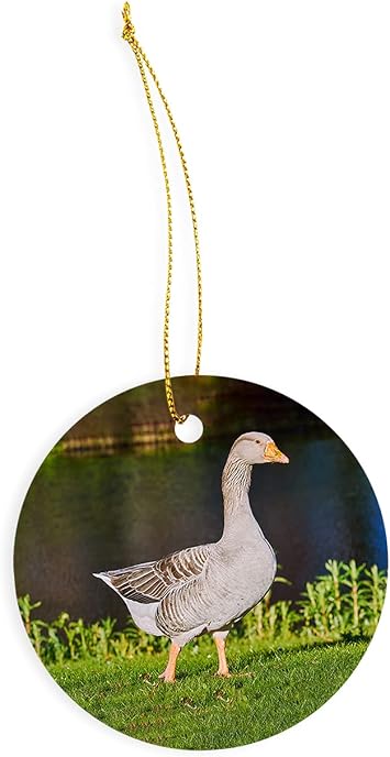 SpreadPassion Grey Goose On The Grass Ceramic Ornament - Christmas Decorations - 3" Circle Ceramic Ornament