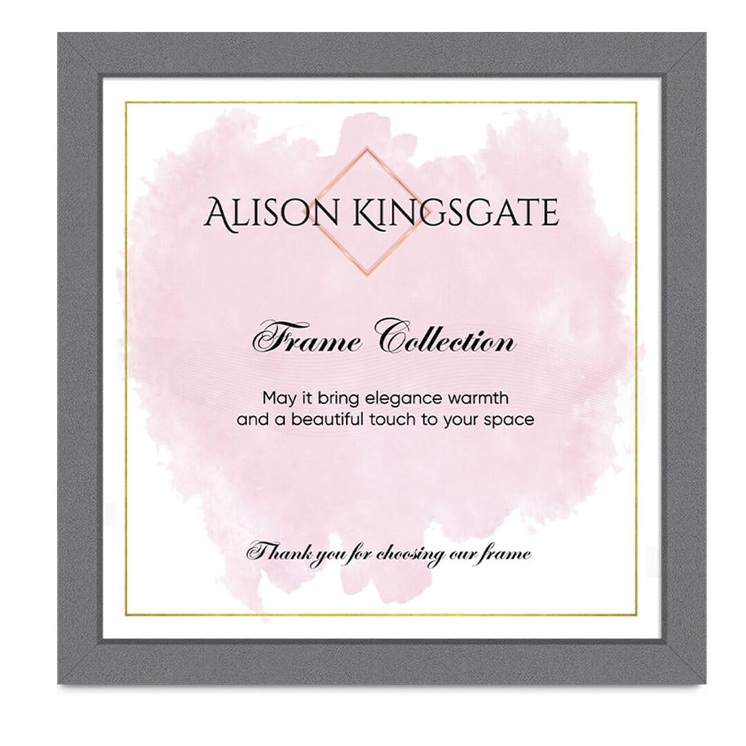 Alison Kingsgate Modern Dark Grey Picture & Frame for Photo - 23X23