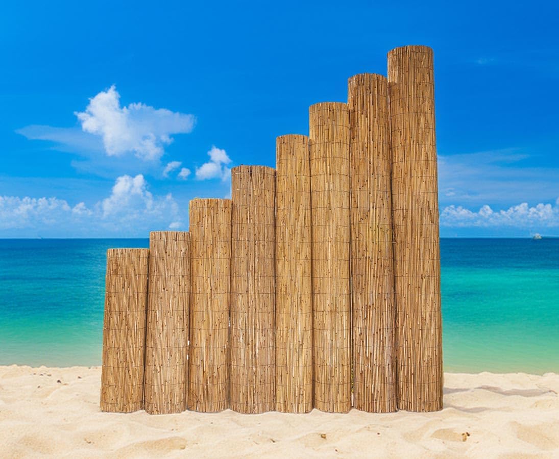 bambus-discount.com Schilfrohrmatte Beach 100x600cm - Premium Schilfmatte Sichtschutz 1m x 6m Made in EU