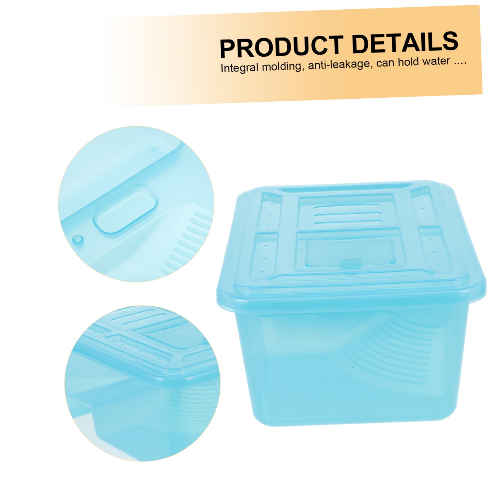 BESPORTBLE Vasca per Tartarughe Blu in Plastico Monopezzo Piattaforma per Asciugatura per Rettili e Terrari da Terra
