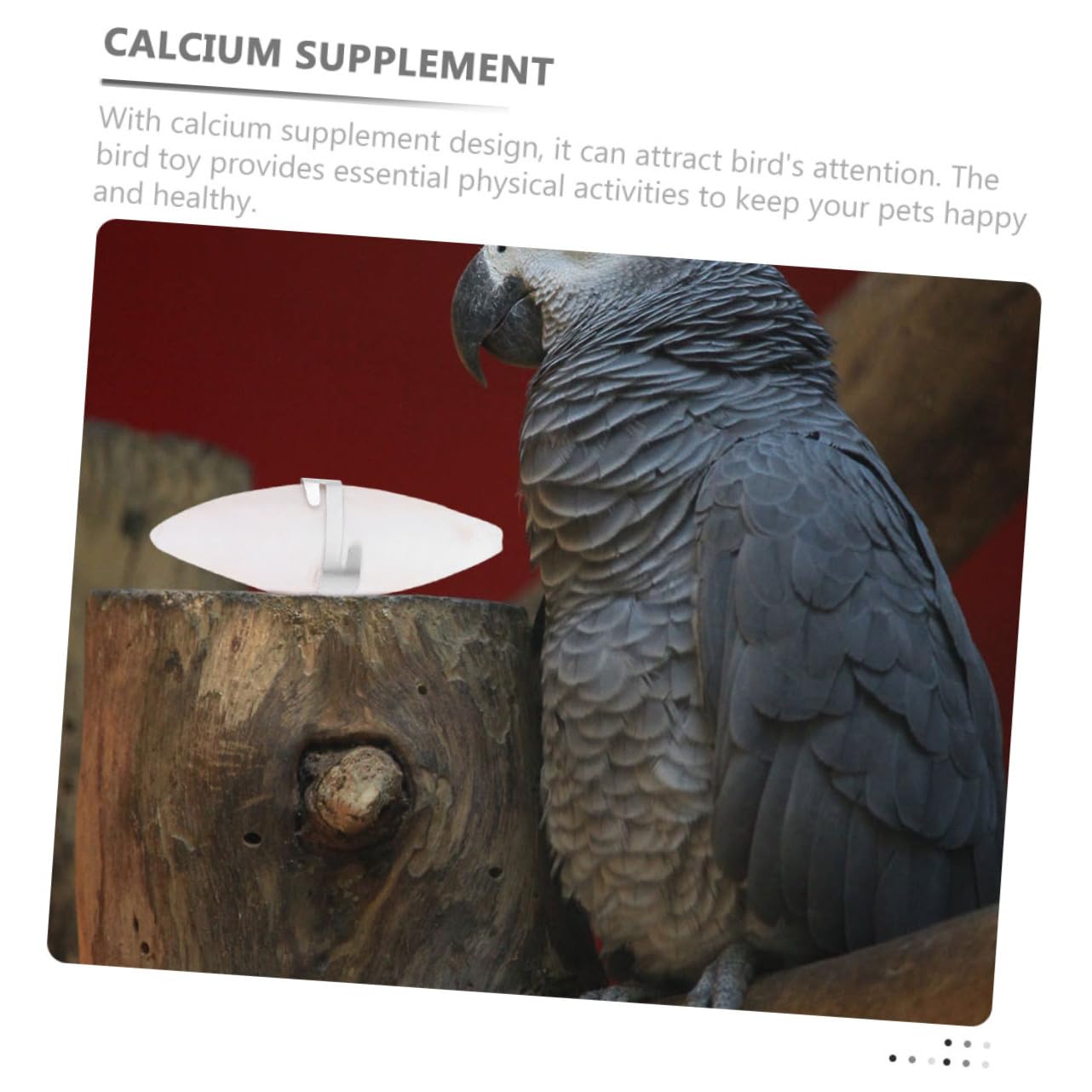 VANZACK 40pezzi Giocattoli da Masticare per Pappagalli e Criceti Giocattoli Cuttlebone Naturale per Mantenere La Salute e Gioco per Pappagalli e Piccoli Animali Domestici