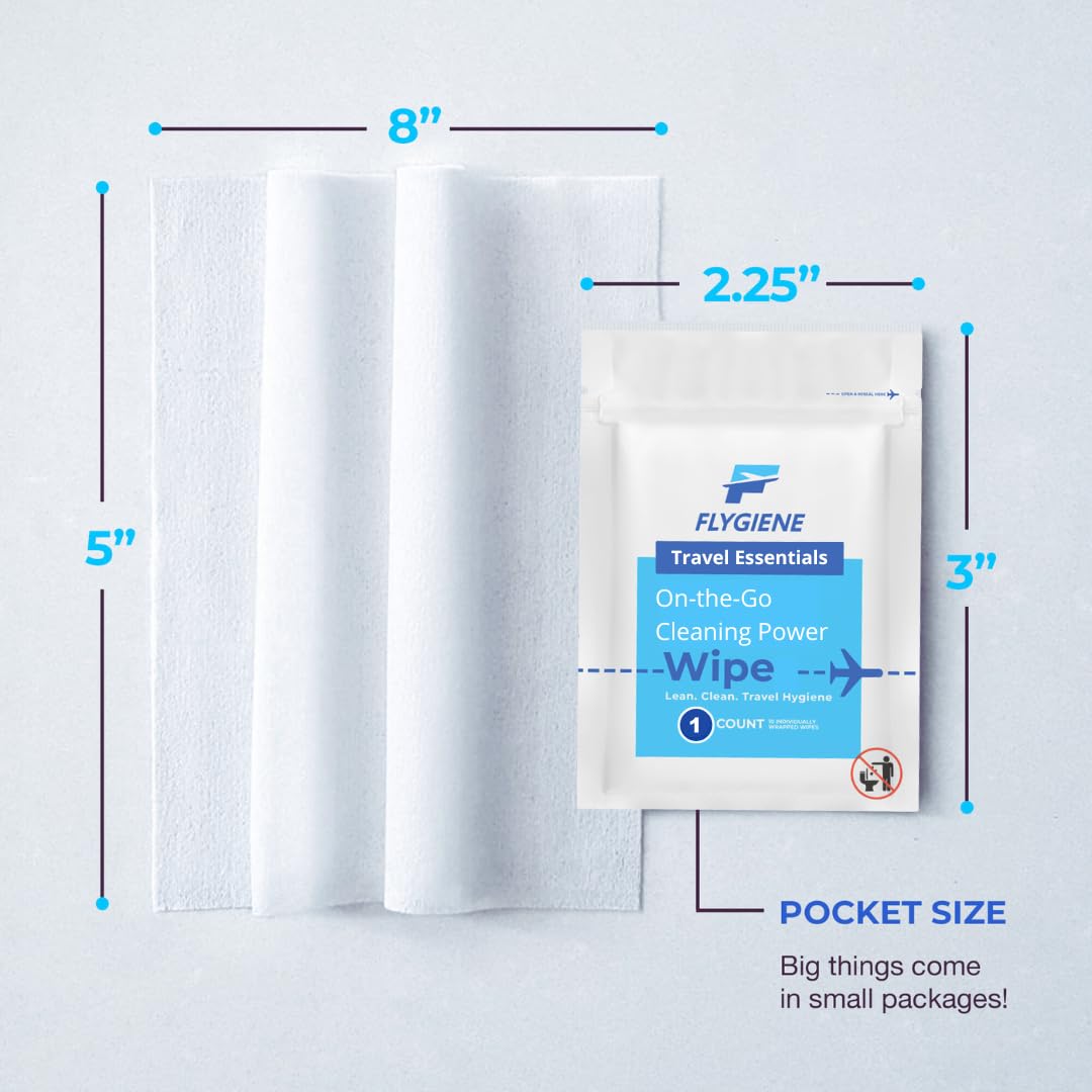 Travel Sanitizing Wipes (100 Count (100 individual wipes))