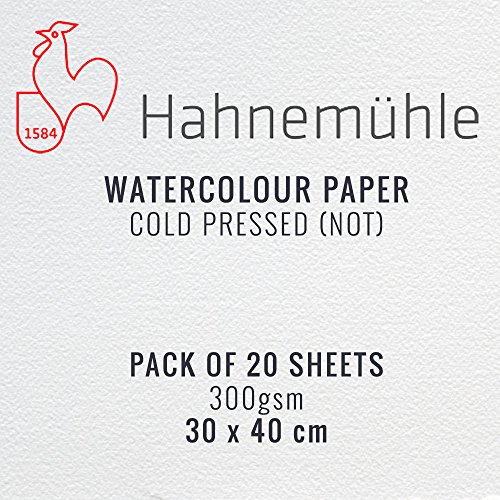 Papier aquarelle Hahnemuhle 300g excellence grain fin pour artistes exigeants