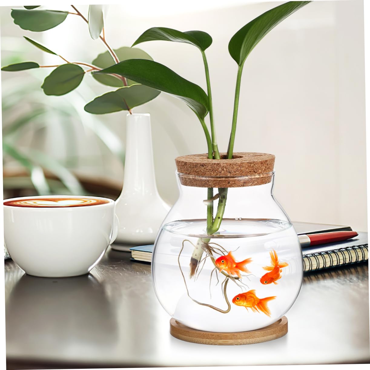 Sosoport 2sätze Glasterrariumbehälter Für Hydrokulturpflanzen Pflanzwasserstation Mit Blumenarrangementhalter Für Desktop-anzuchtstation Glasblumenvase Als Blumenpflanzer