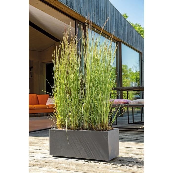 Deroma Jardiniere Muret Millennium R - Anthracite - A réserve d'eau - 59 cm