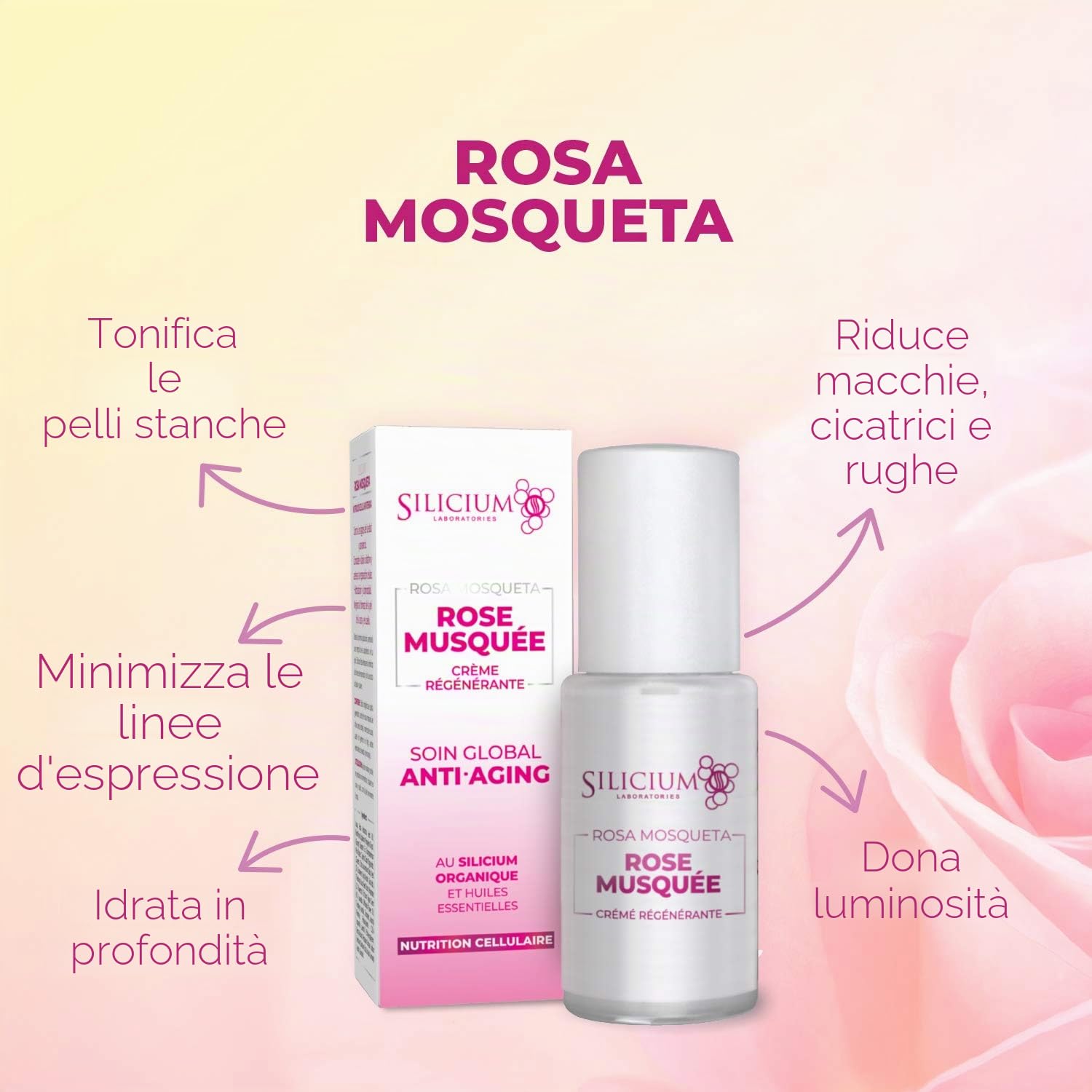 Rosa Mosqueta. Crema Anti-Età. Idratazione E Luminosità Per La Pelle. Composta Da una Base di Silicio E Olio Di Rosa Mosqueta Del Cile Per La Cura Del Viso. Contenitore Da 50 Ml Con Dosatore.