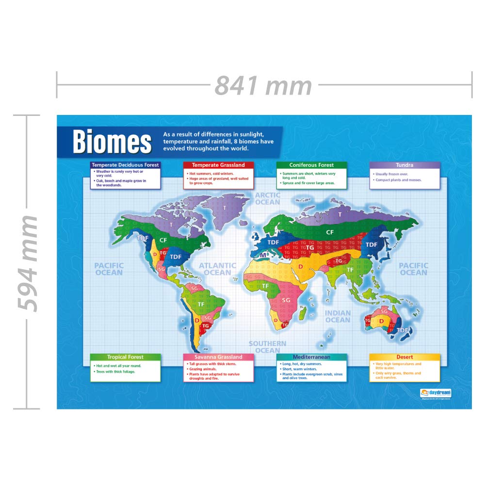 Daydream Education Biomes Geography Poster - EXTRA LARGE 33" x 23.5" - Gloss Paper - Geography Middle & High School Classroom Decoration - Wall Charts - Image 5