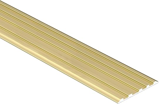 LIYI929GP Commercial Stair Aluminum Treads, Black Gold Stair Nosing Edge Trim Strips, Weather Resistants Ramps Traction Strips, Staircase Step Edge Protector Strip with Antislip Fluted, Non-Slip