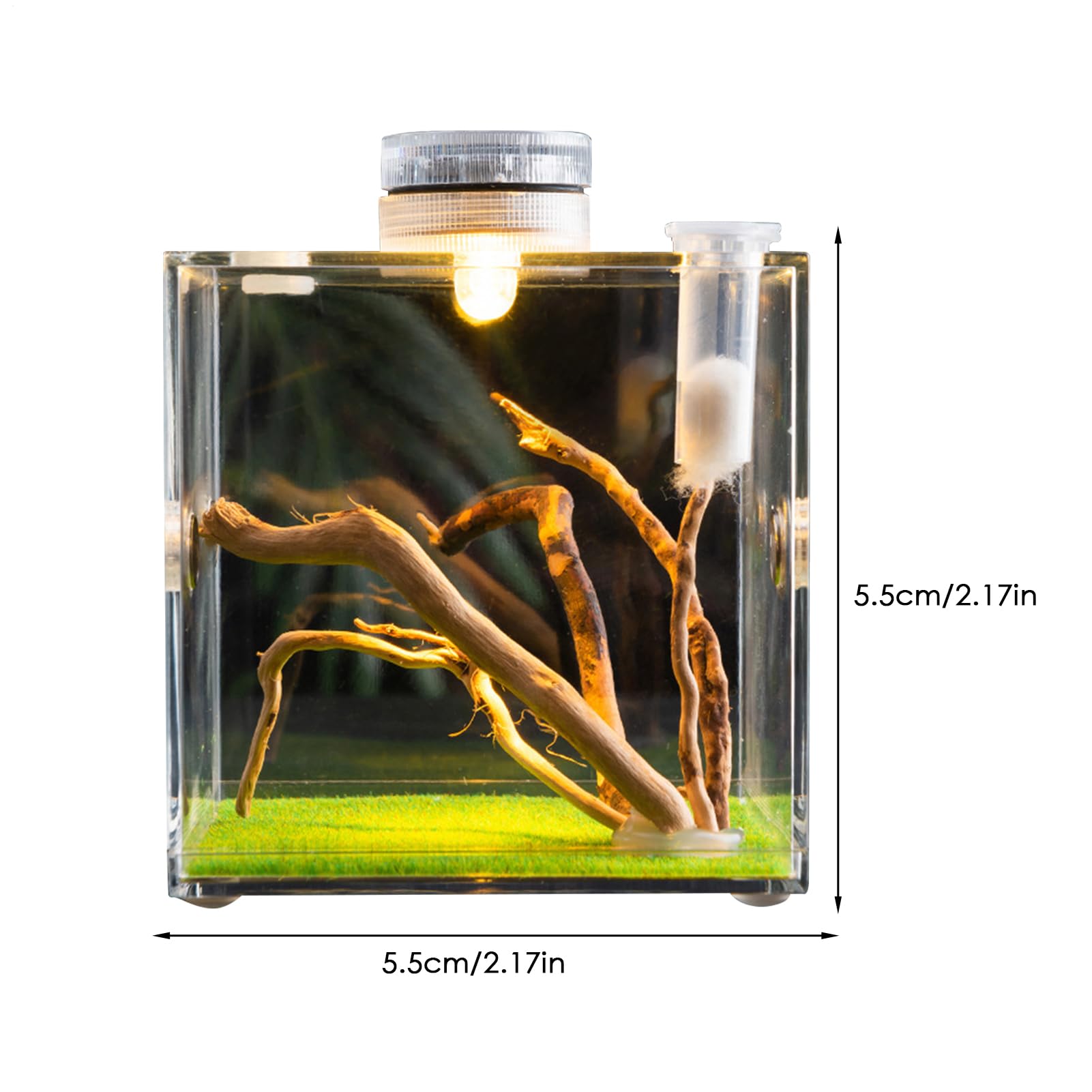 Enclos pour araignées sauteuses, Habitat d'araignées, Terrarium d'araignées, Cage à araignées, Cage en Acrylique, Terrarium à Insectes