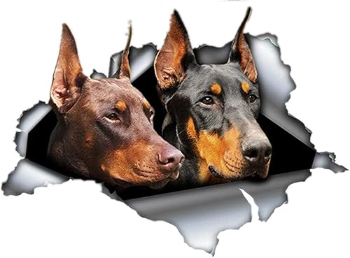 Miniatura 2 de Calcomanía para automóvil Doberman negro y rojo, 12 pulgadas, calcomanía divertida para mascotas, para ventana, laptop, motocicleta, paredes, espejo