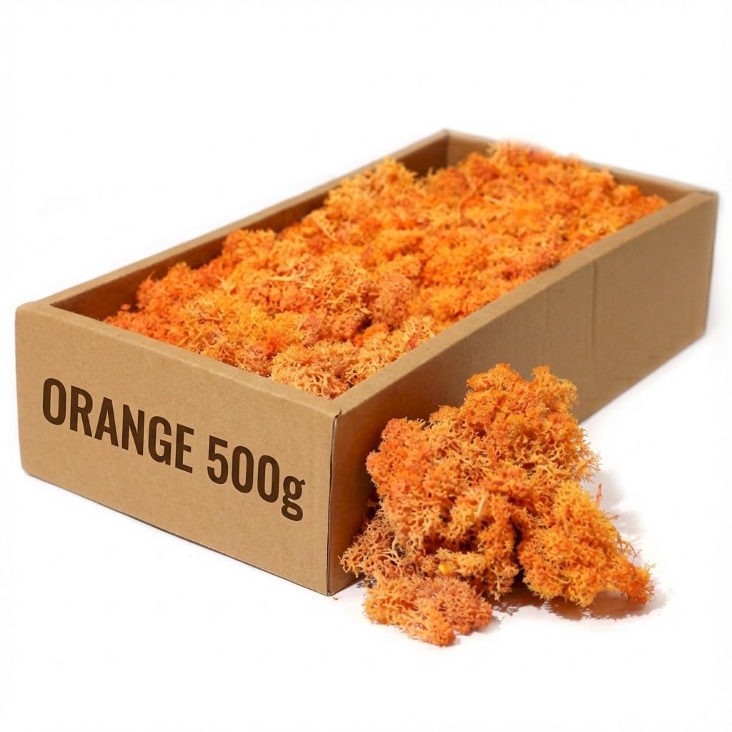 floral supplies Stabilised Reindeer Moss – Preserved Lichen for Model Scenery, Railway Landscapes, Terrariums, Floristry & Art Crafts – Soft Texture & Maintenance Free (Orange, 100g)