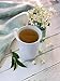 Bigelow Jasmine Green Tea, 20 Bags, All Natural, 0.91 Ounces (Pack Of 6)