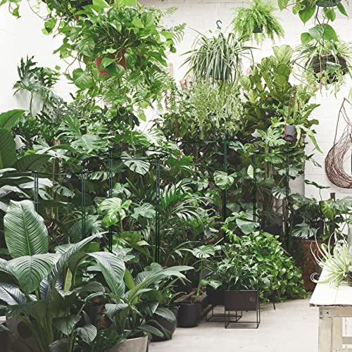 Deep Sea 8 Pack 30 Inch Plant Support Stakes (15In Support +15In Lengthen), Heavy-Duty Half Round Peony Support Ring And Cage For Indoor And Outdoor Plants-Peony, Tomato, Tomato, Hydrangea, Monstera #TOP6