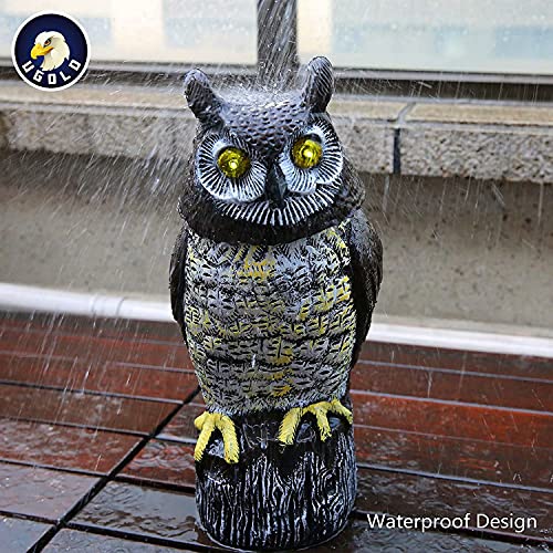 Ugold Solar Powered Owl With Detection, Silent Mode, Flashing Eyes, Rotatable Head And Realistic Hoots, Plastic Owl Decoration For Home, Garden, Patio And Fence #TOP2