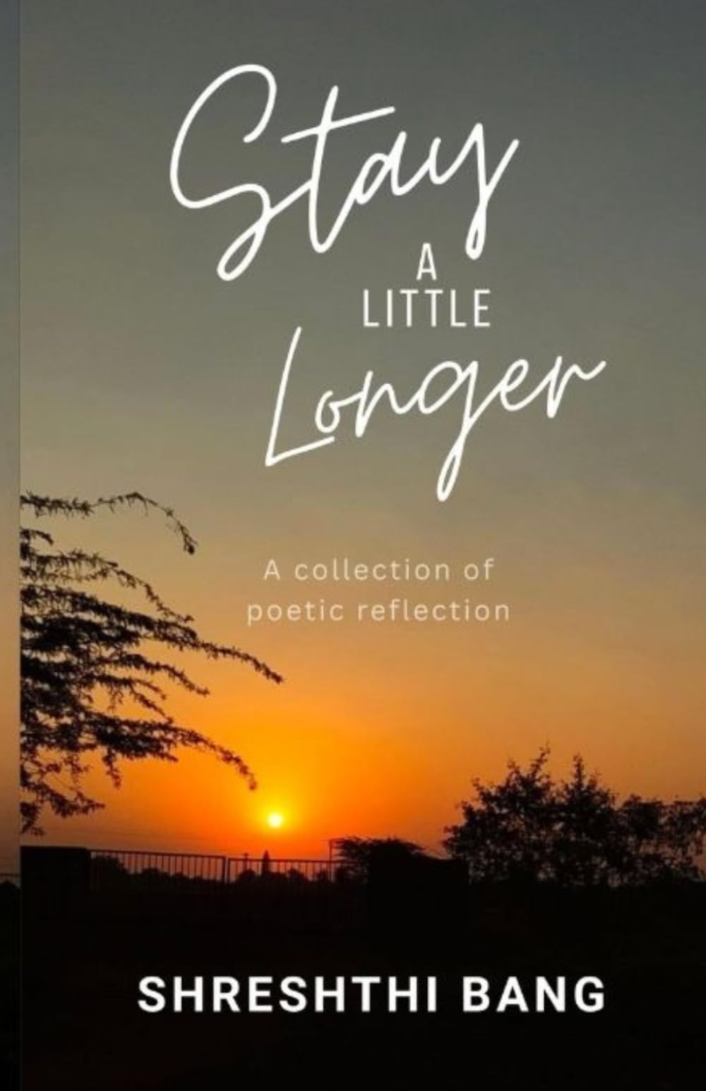 Stay A Little Longer: A Collection Of Poetic Reflection