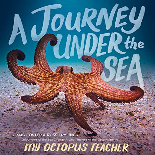 A Journey Under the Sea: A Photographic Picture Book of Ocean Wonders and Creatures for Children (Ages 4-8)
