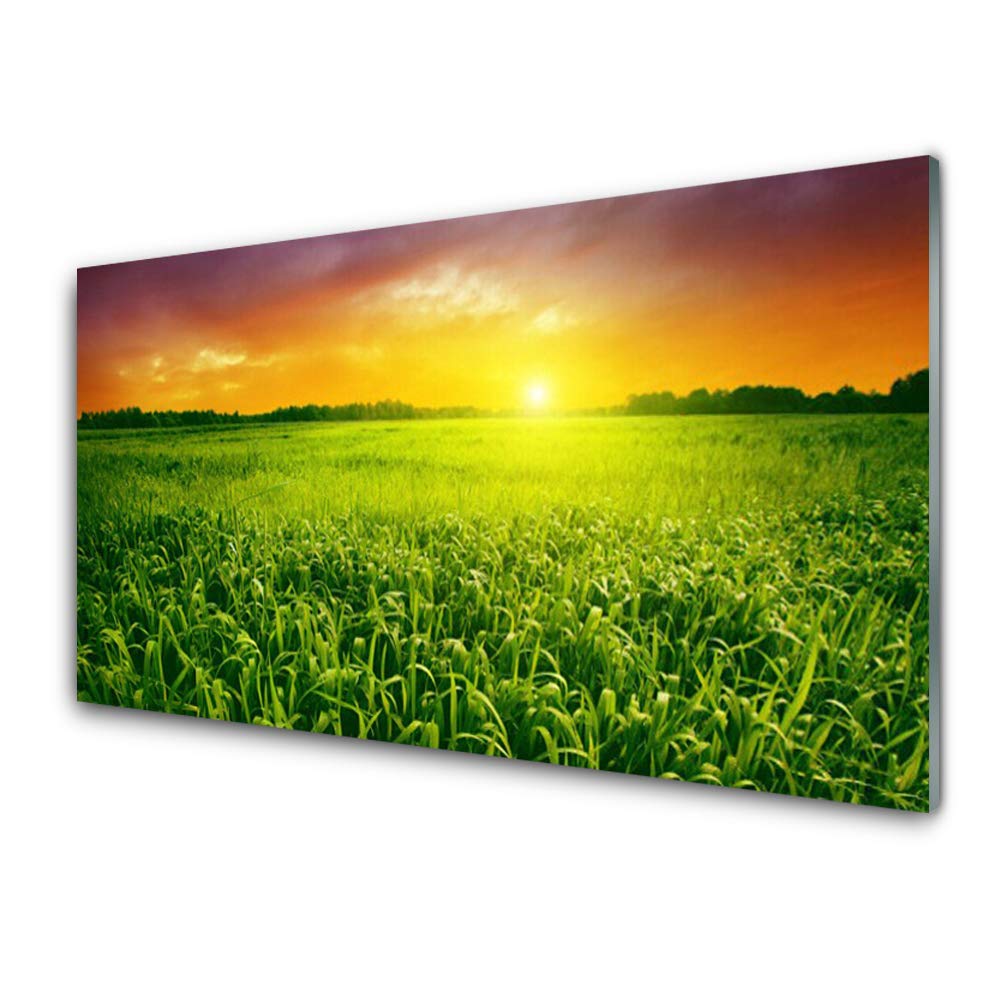 Tableau mural moderne acrylique 100x50cm pour illuminer une pièce sombre Tulup