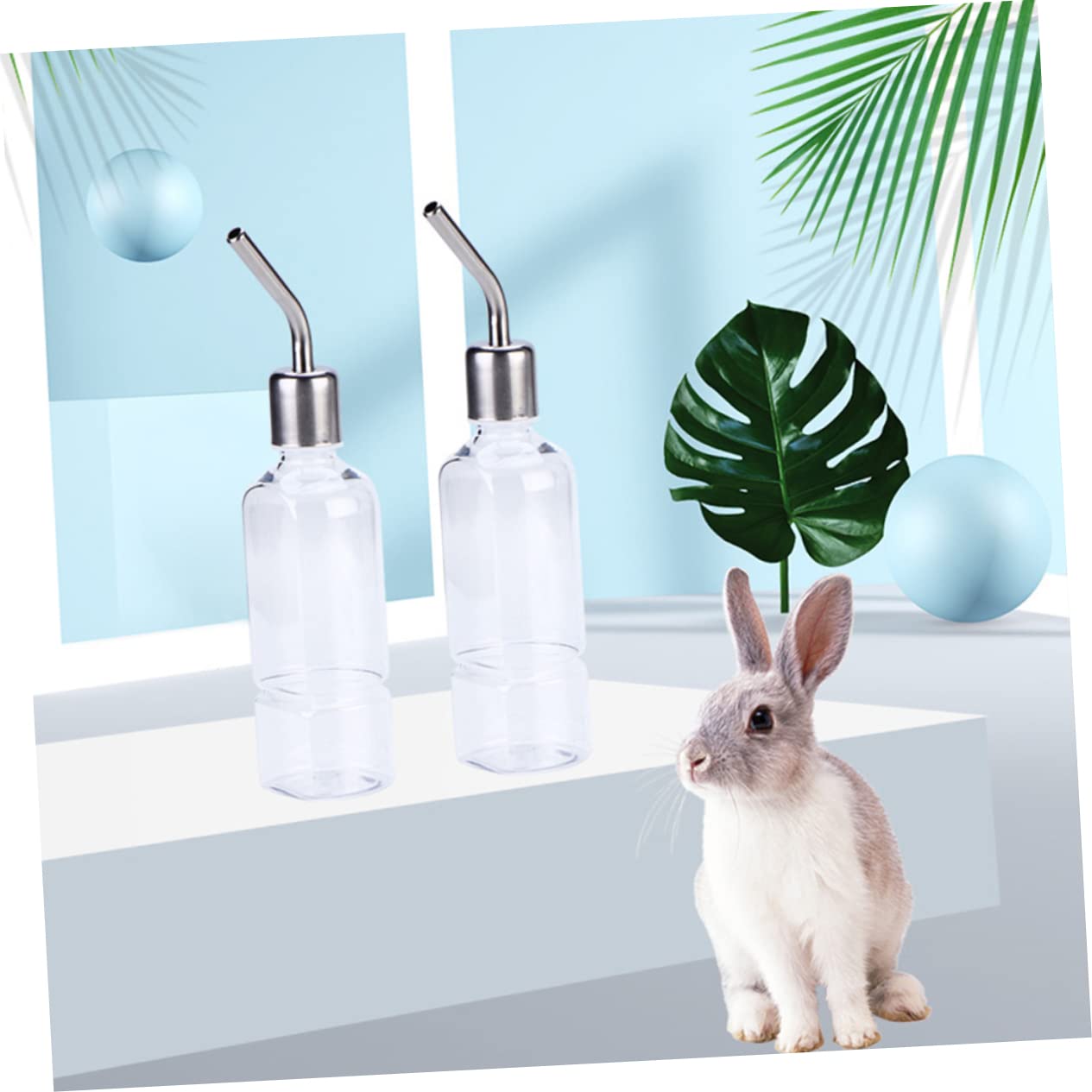 3 Set Di Dispenser Dacqua Portatile Per Porcellini Dindia Bottiglia Per Bevande in Acciaio Inossidabile Sicura E Facile Da Usare 2 Pezzi * 3