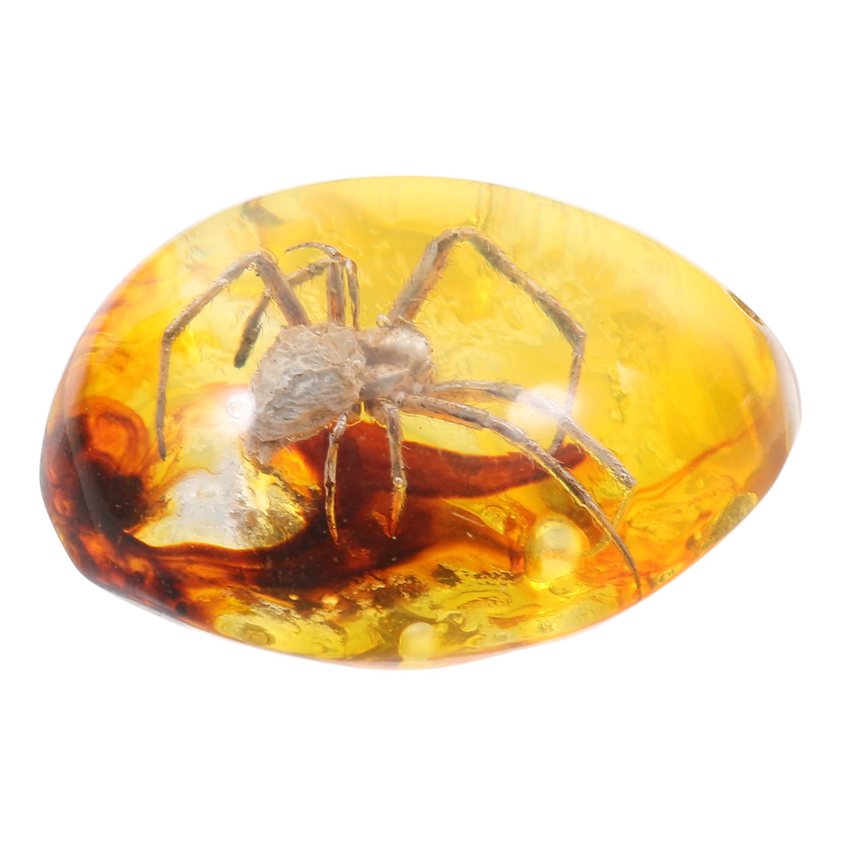 Homoyoyo Amber Fossil Insect Specimen Pendant - Unique Oval Crystal Home Decor - Natural