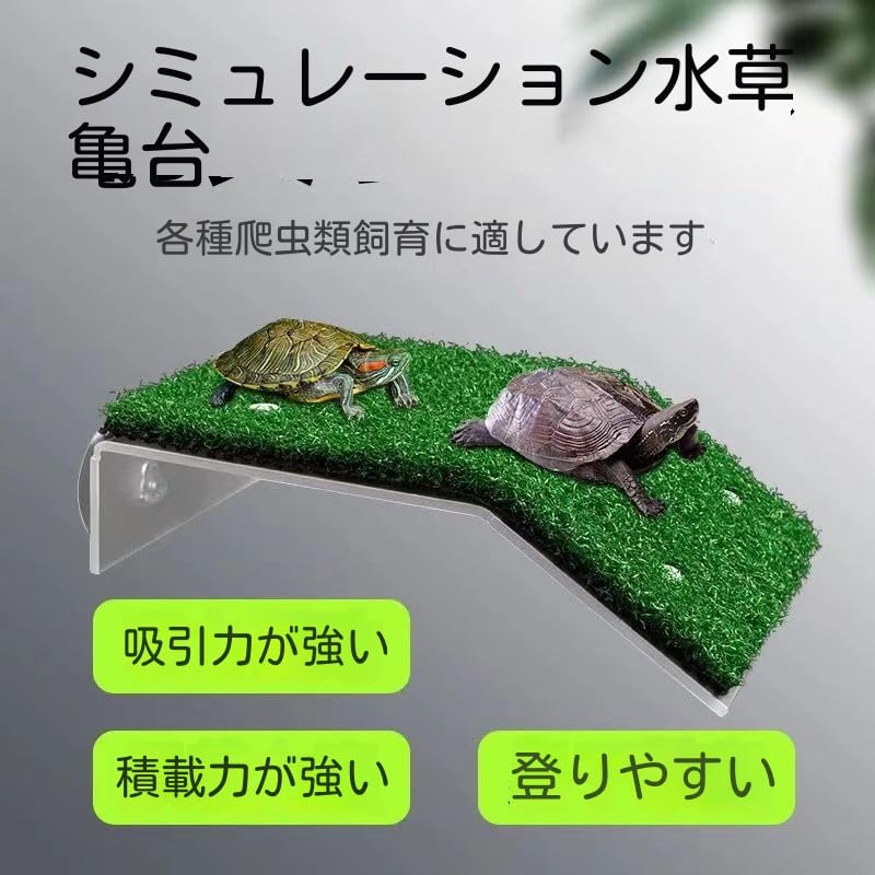Amazon.co.jp: 爬虫類 亀 浮き島 亀の日なたぼっ 日光浴 水槽台